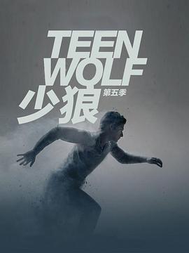 中国家庭电视剧全集免费观看第二部的海报
