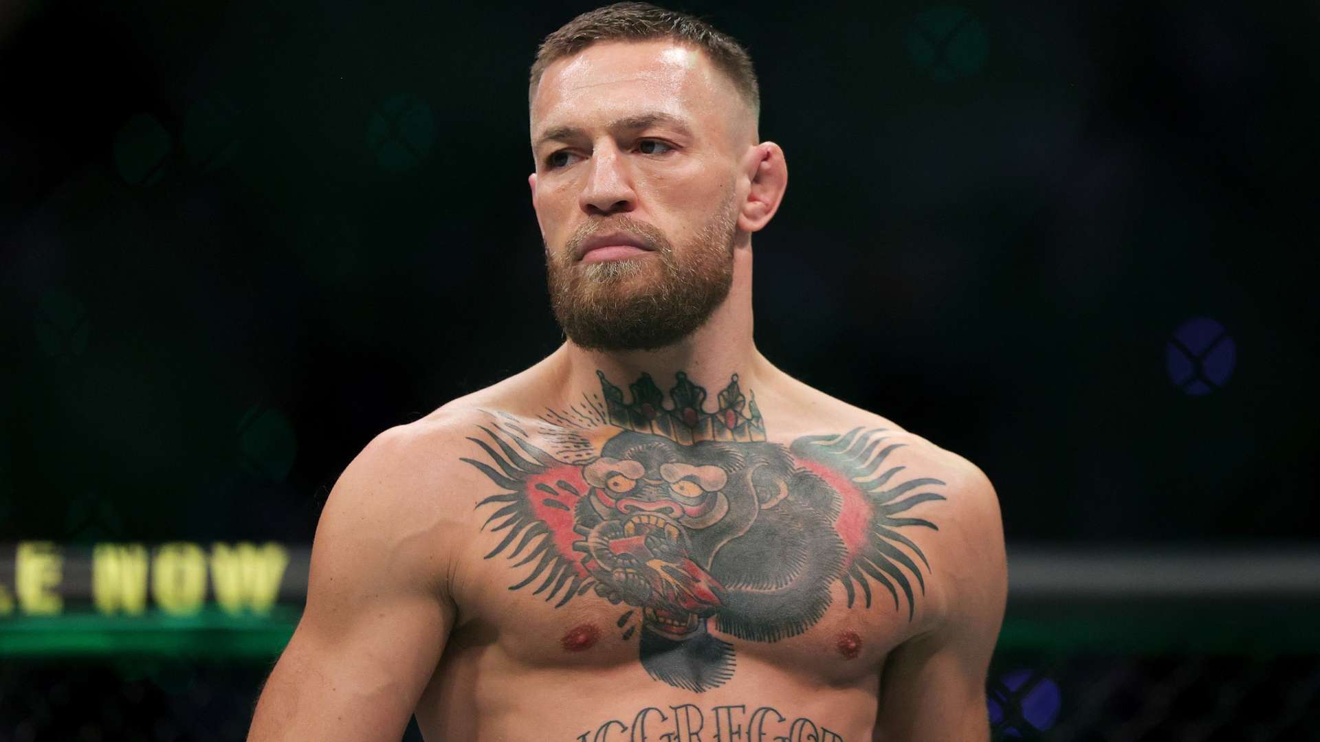 前展现自身 前展现自身