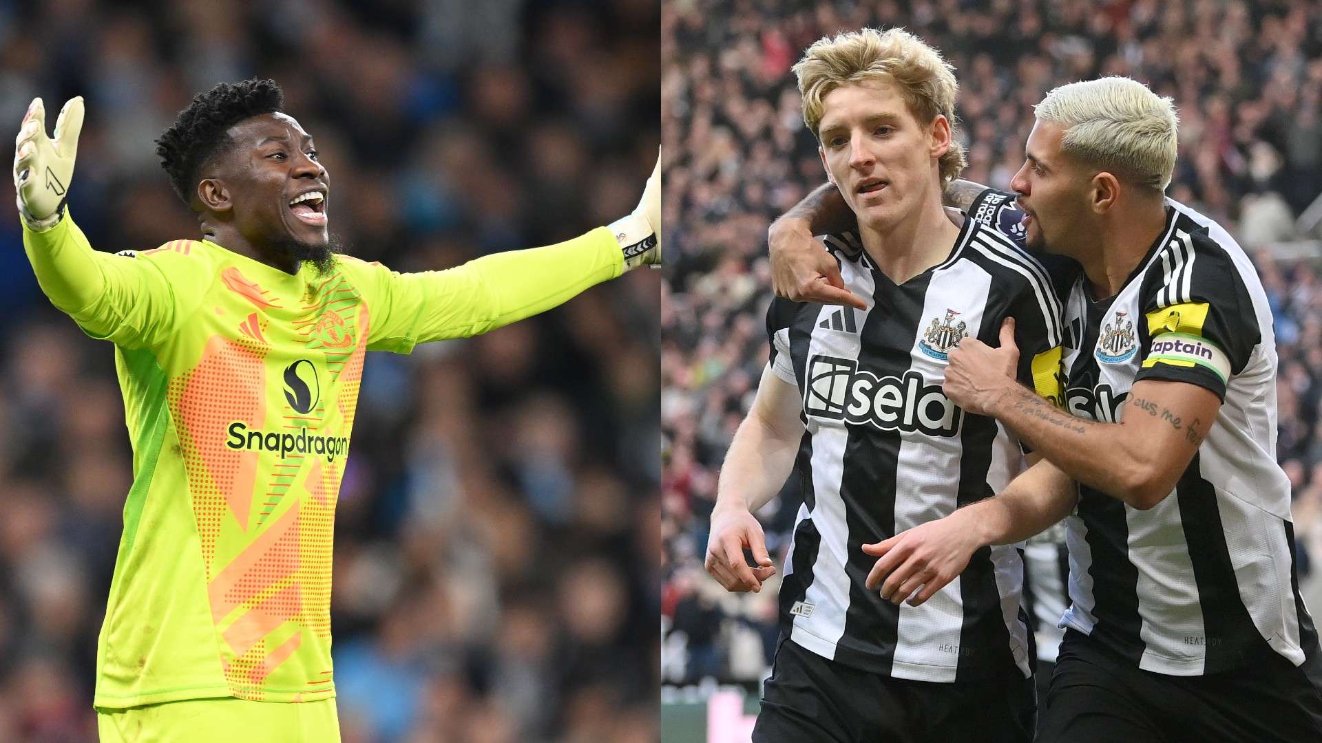 以增强归属 以增强归属