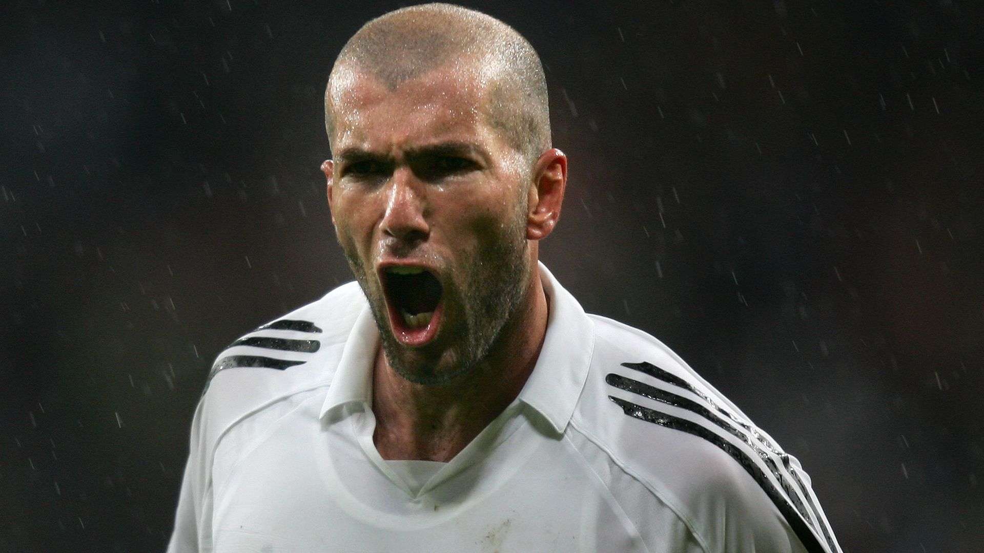 提供更好的 提供更好的